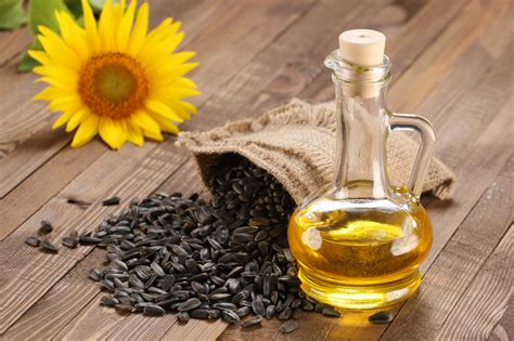 sunflower oil, seed and sunflower - Littlegate Publishing