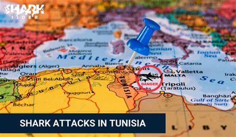 Shark Attacks in Tunisia [Updated September 2023]