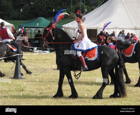 Circus Show Horse Stock Photos & Circus Show Horse Stock Images - Alamy