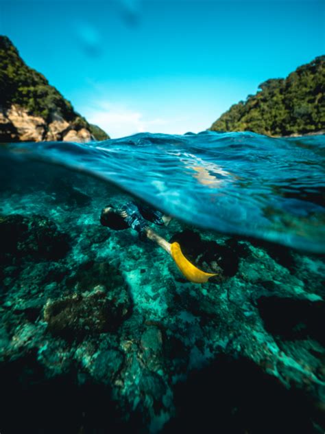 Free Photo of snorkeling, ocean, travel - StockSnap.io