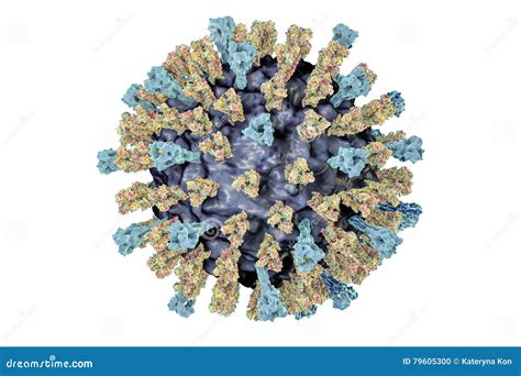 Measles virus illustration stock illustration. Illustration of ...