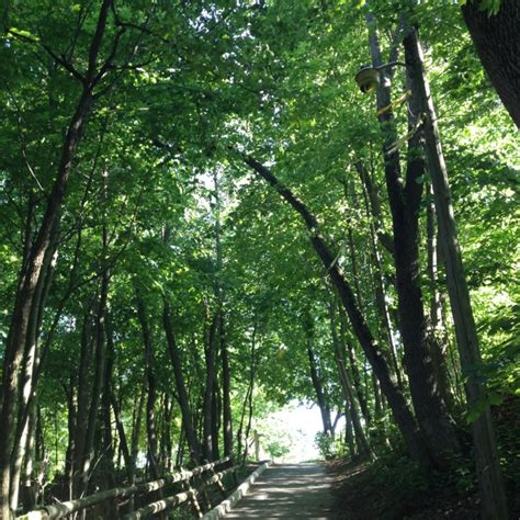 Doctors Park Milwaukee, WI | Places We Have Been | Pinterest