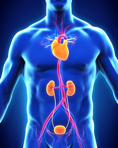 Thoracic aortic aneurysm