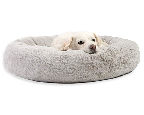 12 Best Orthopedic Dog Beds for Arthritis - Hey, Djangles.