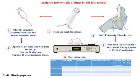 Analgesic activity study of drugs by tail-flick method - Labmonk