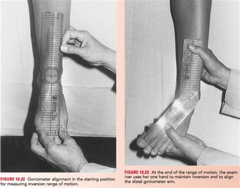 Ankle Goniometer Measurements