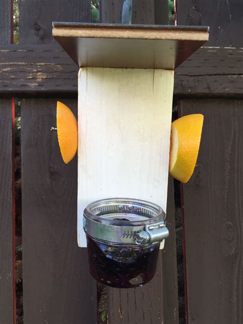 DIY Oriole feeder | Homemade bird feeders, Bird feeders, Bird seed