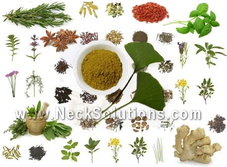 Herbs for Migraine Headaches - Herbal Solutions For Migraines