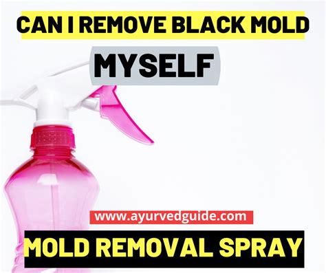 Black Mold Removal Process |Mold Removal Spray | Ayurved Guide | Mold ...