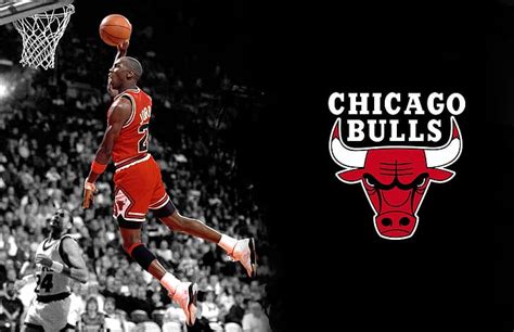 Details 68+ chicago bull wallpaper latest - in.cdgdbentre