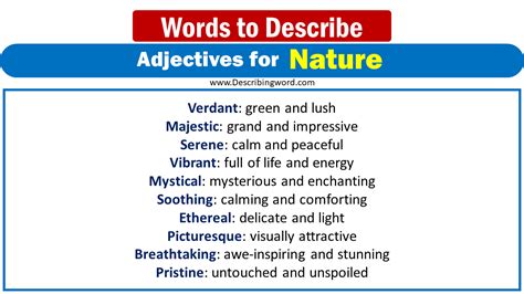 300 Best Words to Describe Nature, Adjectives for Nature - DescribingWord.Com