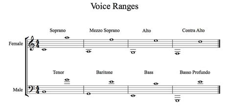 Classical 101 | Your Voice-type And How To Find It