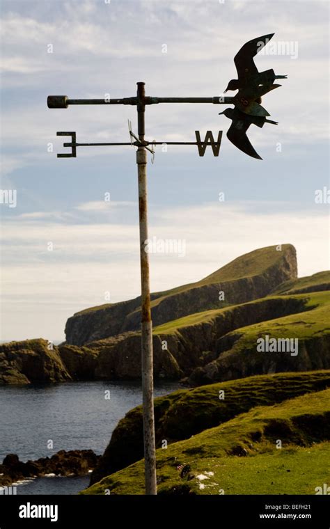 Weather vane with symbol of Fair Isle Bird Observatory with Sheep Rock in background on Fair ...