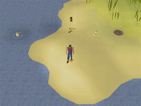 Image - Hot cold clue - mudskipper point.png | Old School RuneScape ...