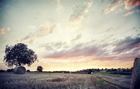 30 Photographs of Open Fields « Stockvault.net Blog – Design and Photography | Sunset ...