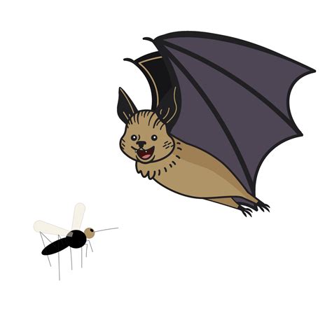 Do bats eat mosquitoes? Bat expert, Dr. Merlin Tuttle explains — BatBnB