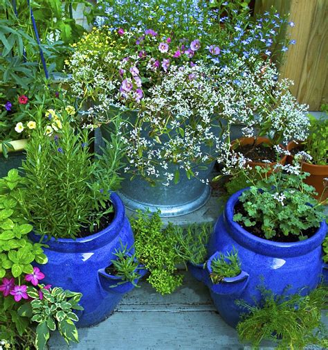 How to Get Sarted Growing Herbs in Pots