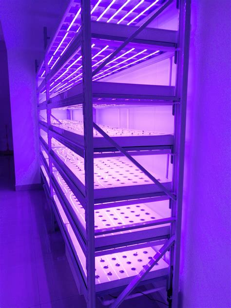 4X8 Feet Movable Vertical Farming Hydroponics Indoor Growing Plant Rack for Medical Herbs ...