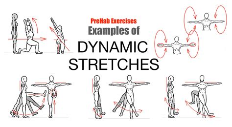 Stretching Exercises Diagrams