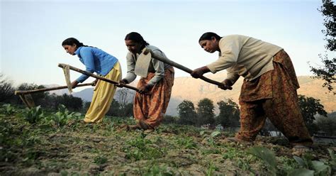 Rights of Farmers, Agricultural Labourers and Forest Workers in India | CJP