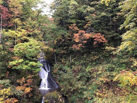 Autumn in Japan - Autumn Foliage Forecast and best spot to see autumn foliage | OUR TRAVEL ITINERARY