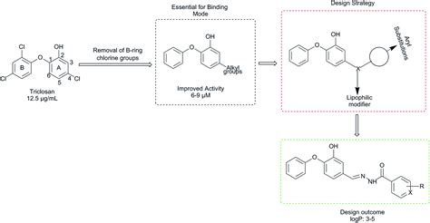 Design, synthesis and evaluation of diphenyl ether analogues as ...