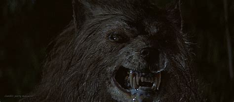 werewolf gifs | Werewolf, Movie monsters, Wolf