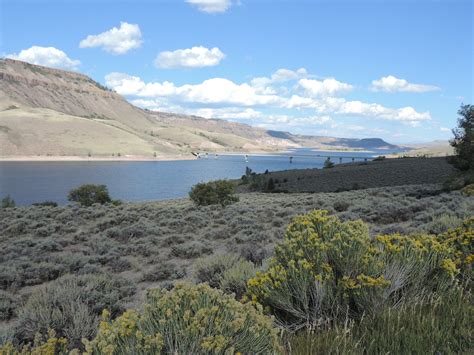 Blue Mesa Reservoir - Gunnison, CO | Beach, Boating, Camping and Fishing - Uncover Colorado