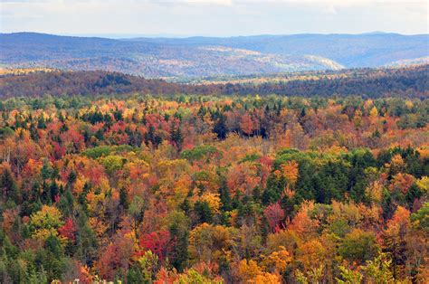 File:Vermont fall foliage hogback mountain.JPG