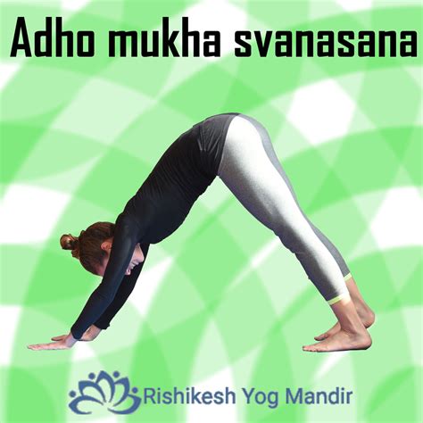 ADHO MUKHA SVANASANA YOGA POSE | Rishikesh, Poses, Yoga poses