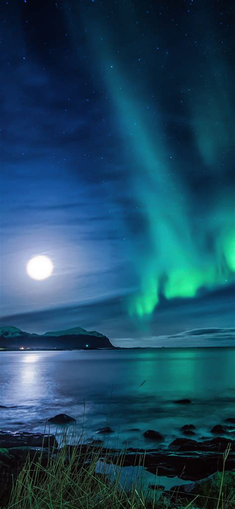 1242x2688 Aurora Borealis Moon Night Iphone XS MAX HD 4k Wallpapers, Images, Backgrounds, Photos ...