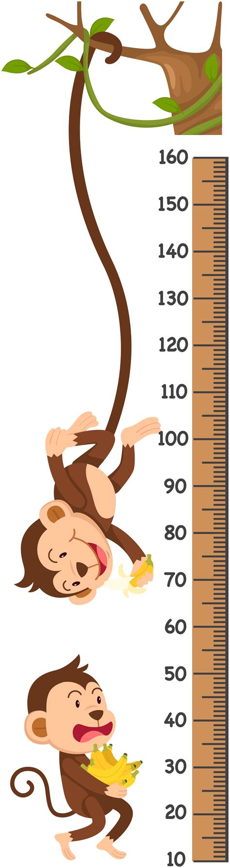 palm chart with monkeys height chart sticker - TenStickers