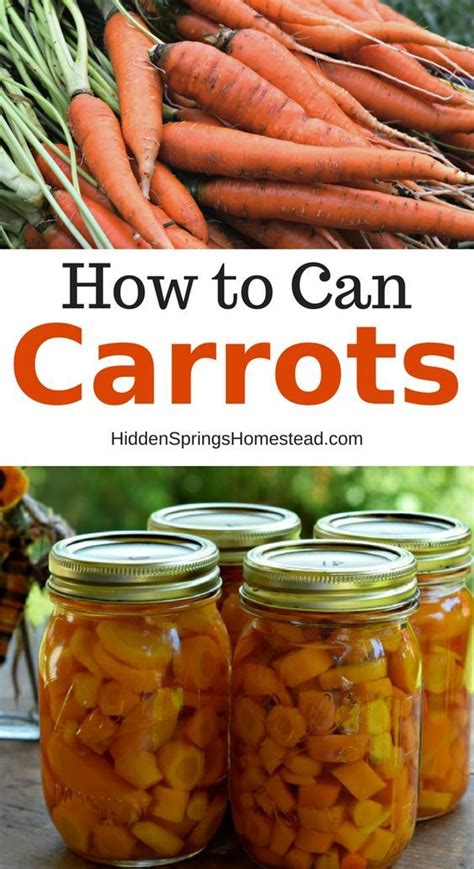 Home Canning Carrots- The Safe Way | Recipe | Canned carrots, Canning ...
