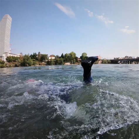 Rhine swimming in Basel | On Saturday 25th May the giants of urban river swimming POOL IS COOL ...