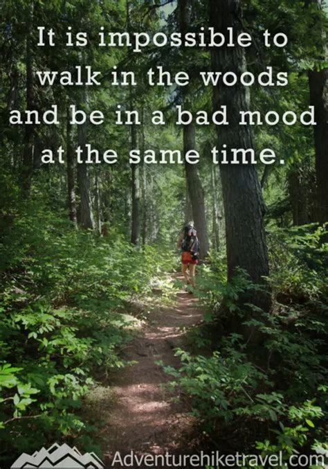 25 Hiking Quotes To Inspire Your Next Daring Adventure - Adventure Hike Travel