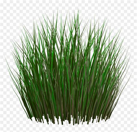 Grass Png Image, Green Grass Png Picture - Unity Grass Texture Png ...