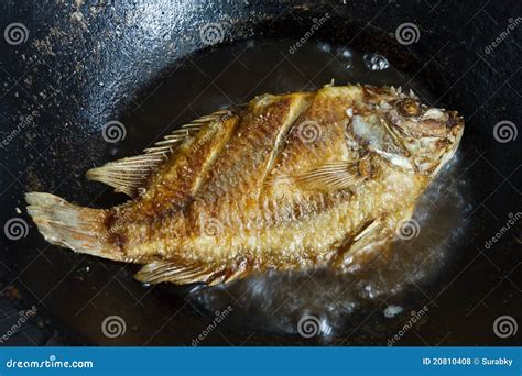 Fish frying in hot oil stock photo. Image of diet, boil - 20810408