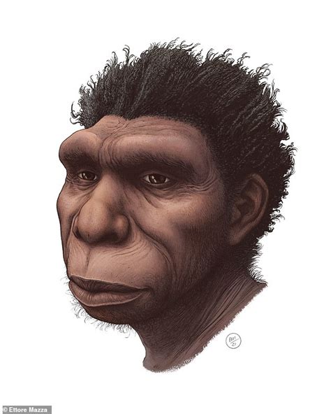 Newly-identified ancient human species lived in Africa 500k years ago ...