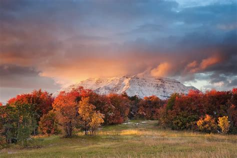 Download Sunset Cloud Sky Mountain Tree Forest Nature Fall HD Wallpaper