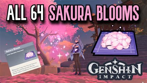 Genshin Impact: 64x Sakura Bloom Location Complete Guide | Ayaka Ascension Materials | Tutorial ...