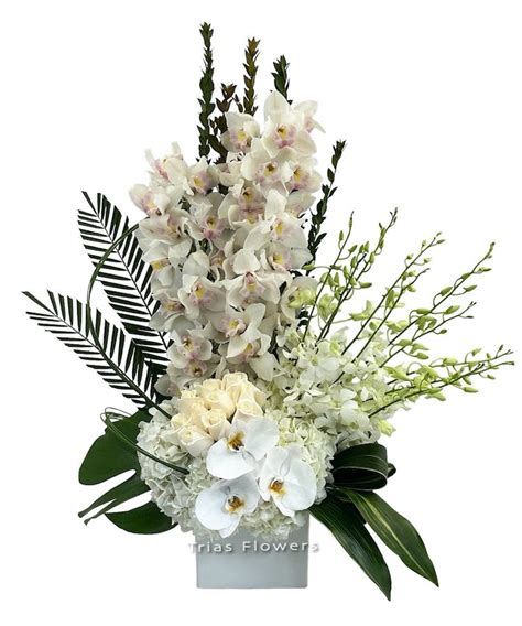 White Hydrangeas & Orchids Miami Florida - Same-day Delivery Miami by Trias Flowers