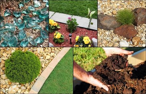 9 Types Of Mulch Every Gardener Needs To Know