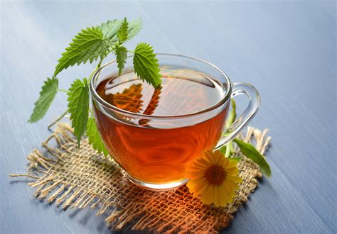 Herbal Tea Free Stock Photo - Public Domain Pictures