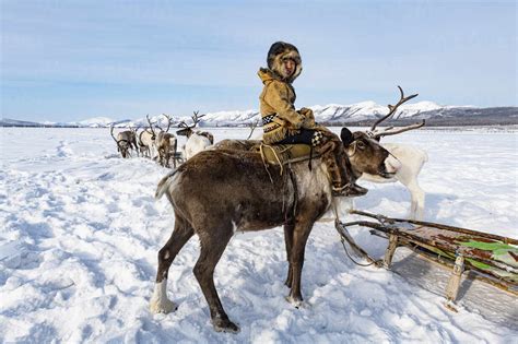 Evenk boy sitting on a reindeer, Oymyakon, Sakha Republic (Yakutia), Russia, Eurasia stock photo