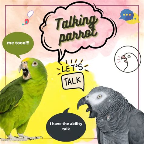 Talking parrot - How do parrot talk | Why do parrot talk