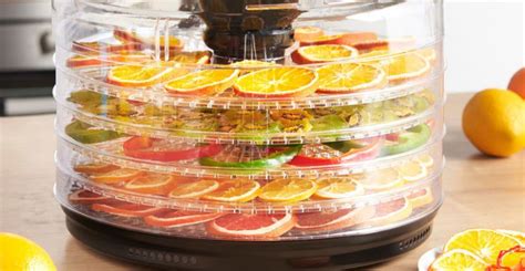 Food Dehydrator vs. Freeze Dryer Comparison - Which Is Better?