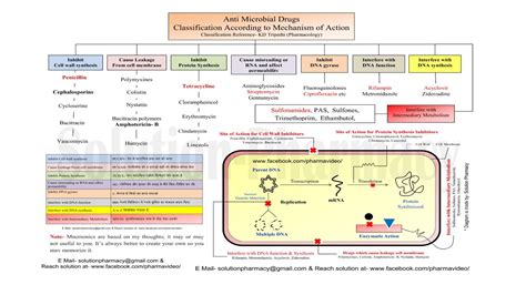 Antibiotics Classification According to Mechanism of Action ...