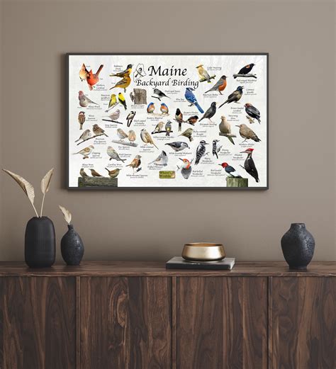 Birds of Maine Backyard Birding Identification Picture Print / - Etsy