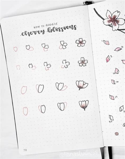 34 Best Step by Step Flower Doodle Tutorials for 2021 - atinydreamer