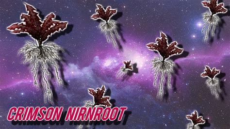 Skyrim All Crimson Nirnroot Location Guide! - YouTube